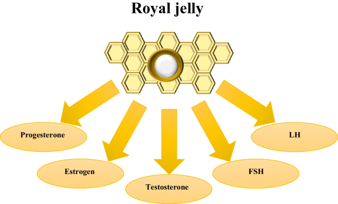 Royal jelly ingredients