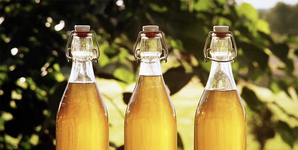 What Is Honey wine, and Is It Good for You?